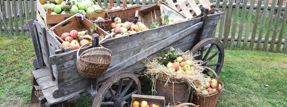 Buntes Programm beim zehnten Apfelfest