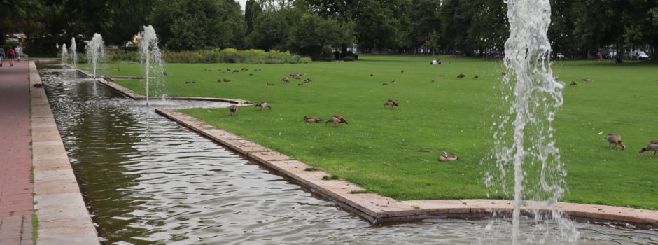 20-Jähriger verletzt einen Wiesbadener Polizisten