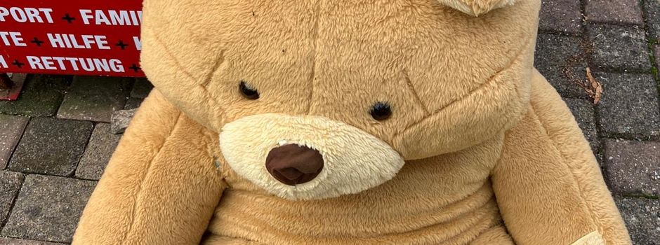 Bär in Brücken entlaufen