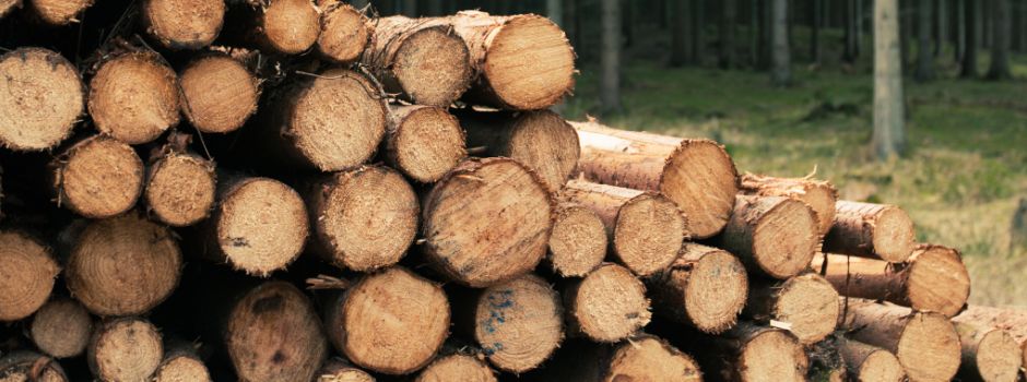 Richtig Heizen mit Holz