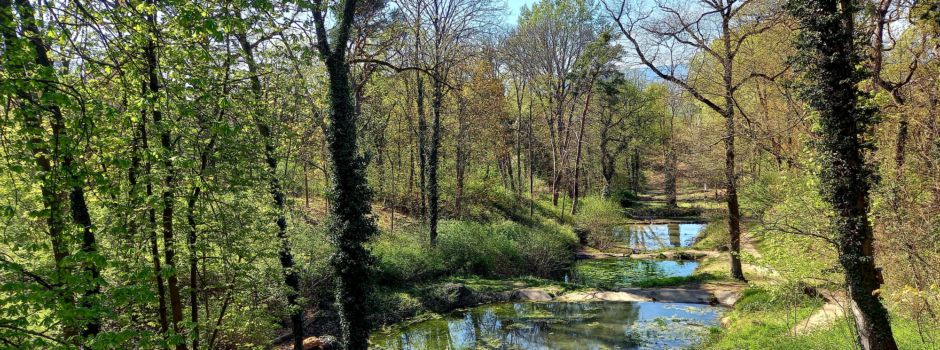 Die schönsten Wanderwege rund um Mainz