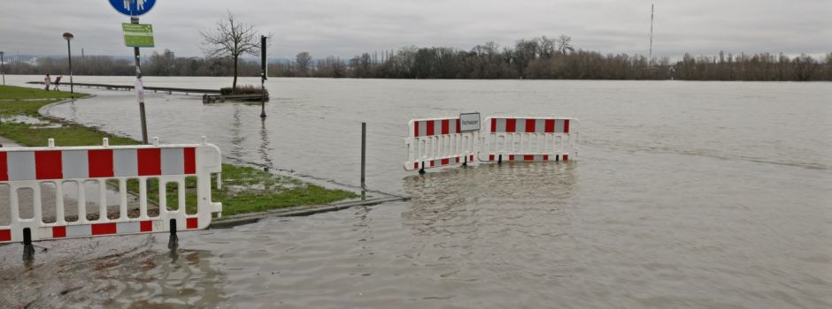 Extremwetter: Welche Orte in Mainz besonders gefährdet sind