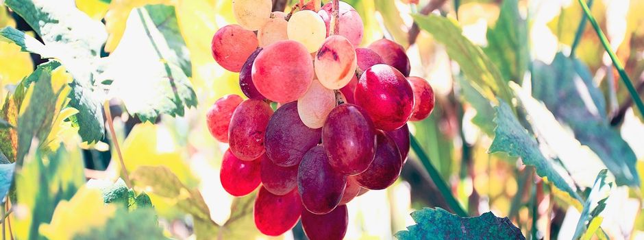 Einladung zum Herbstfest des SV Illschwang