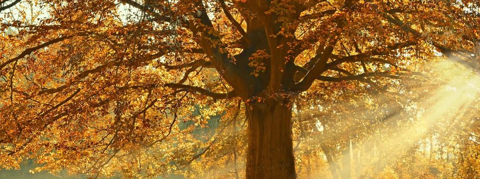 Die dunkle Jahreszeit naht 🍂