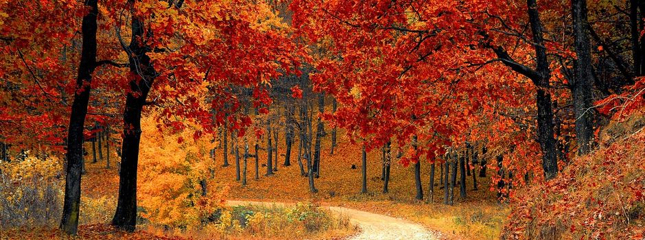 Gemeinderatssitzung am 15. November 2024