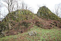 Erinnerung: Gemeindewandertag am Samstag, 24.01.2026