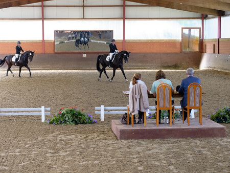 Drei Tage Reitsport: Reitverein Herzebrock‑Rheda startet ins Herzebrocker Sommerturnier