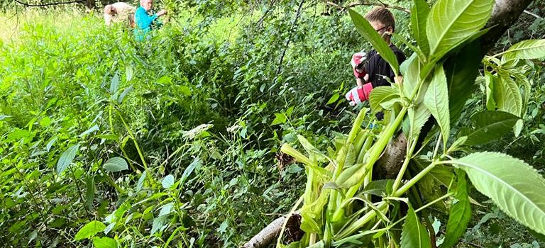 Fleißige Hände in Aktion