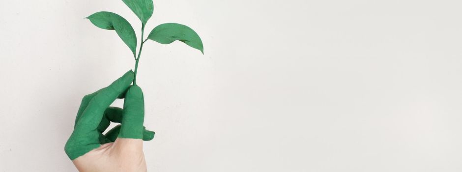 Greenoffice – 3 Events zum Thema Nachhaltigkeit in Augsburg