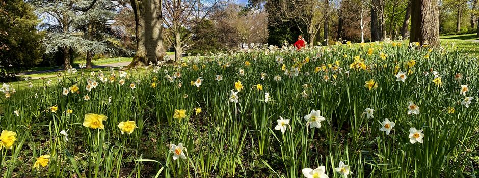 Diese „dritten Orte“ gibt es in Mainz