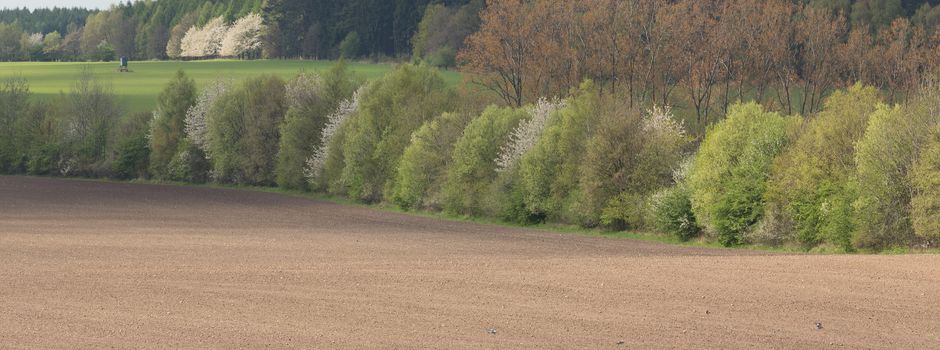 Seminar „Fachgerechte Heckenpflege in der Landwirtschaft“ 