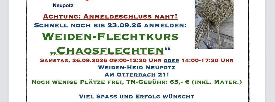 Chaosflechten mit Weide