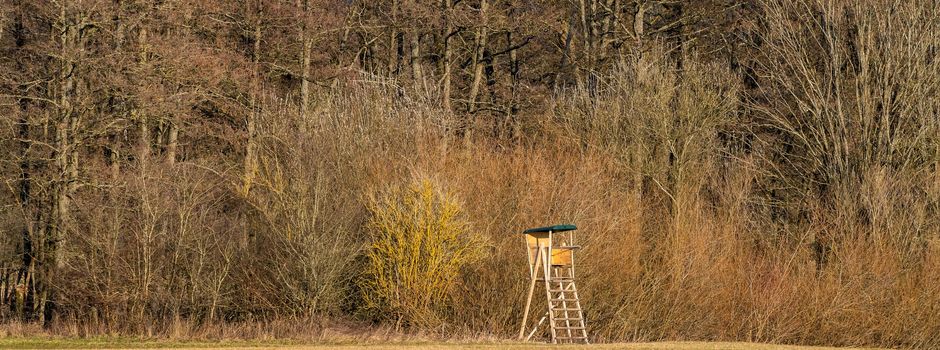 Neue Zuständigkeiten im Forstrevier Mündersbach