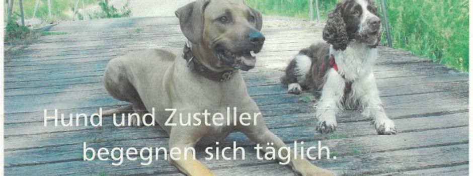 Hund und Zusteller begegnen sich täglich