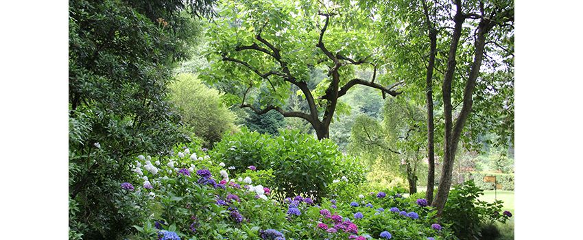 Grüne Oasen laden ein – Tage der offenen Höfe & Gärten in Rhein-Selz