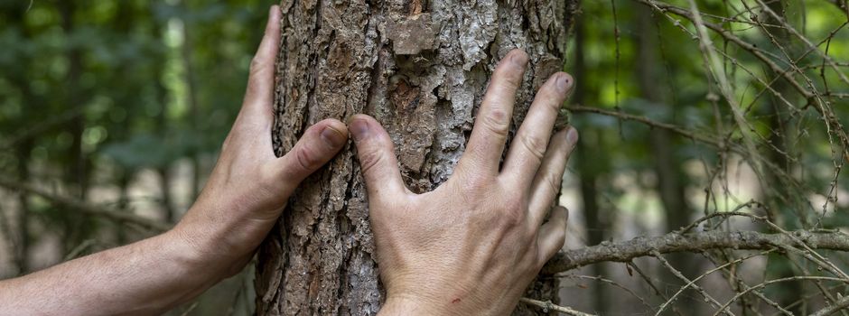 „Waldtag statt Alltag“: Wer möchte ein grünes Wunder erleben?