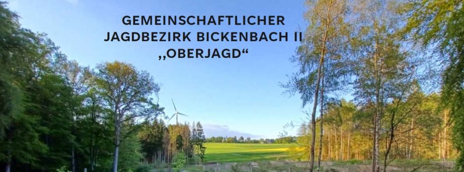 Mithilfe im Jagdrevier