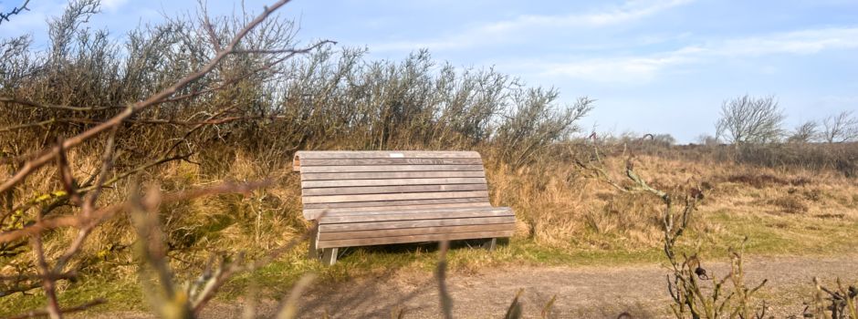 Dein Name auf einer Bank mit Aussicht!