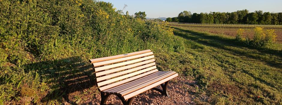 Entspannung mit Ausblick am Nohwackeweg
