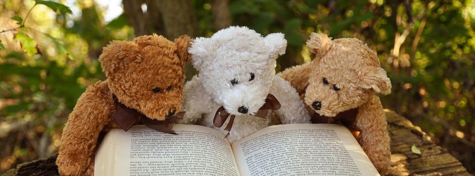 Bilderbuchkino auf Reisen