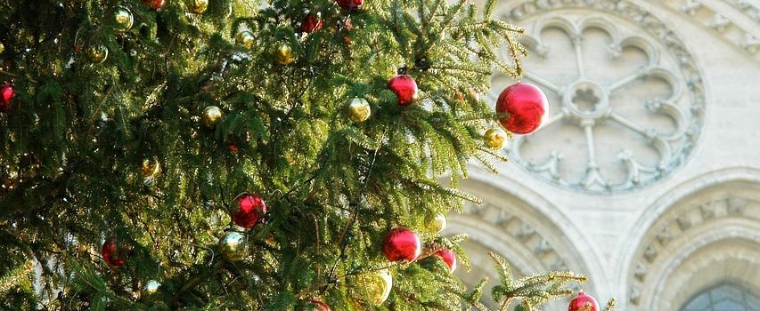 Anmeldung zum Krippenspiel 🎄🪽