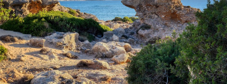 Studienreise nach Kreta mit Besuch der Partnerstadt Platanias