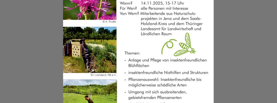 Insektenfreundlich Gärtnern