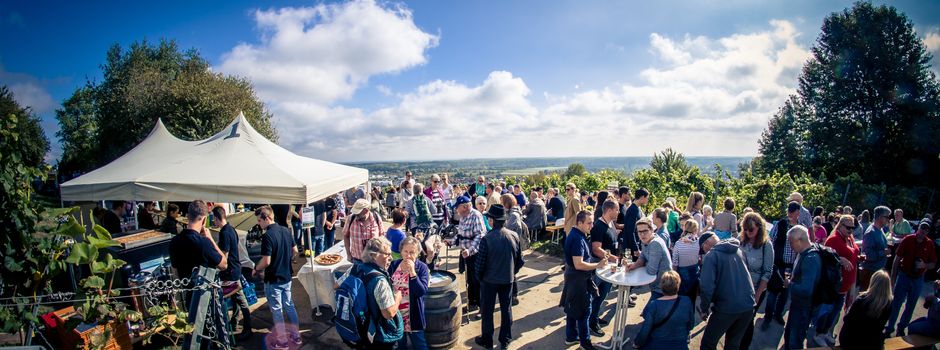 Regionale Winzer treffen auf Street Food - Vorfreude auf die Oppenheimer Schlemmerwanderung am 03. Oktober