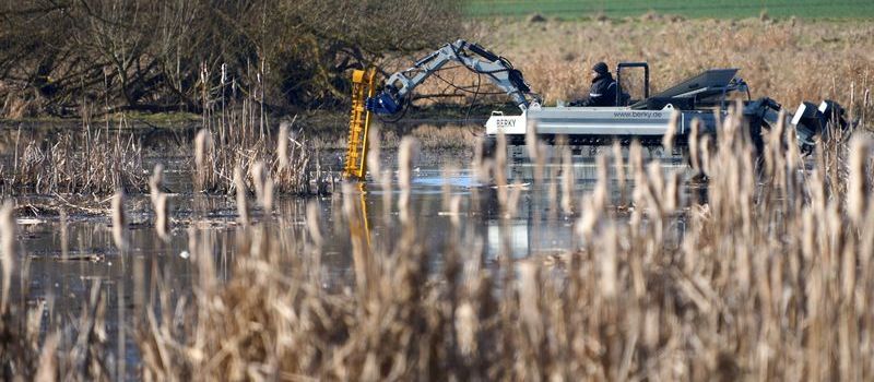 Nach Heizöl-Unglück: Mäharbeiten an Naturschutzgebiet Thürer Wiesen beendet