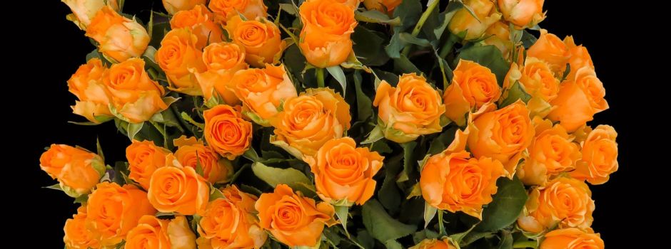 Herzlichen Glückwunsch!