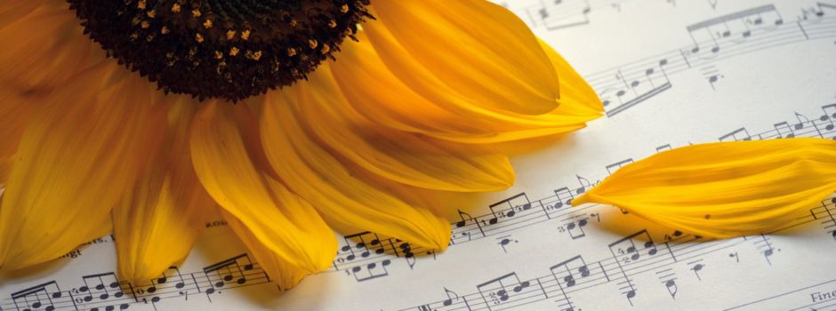 Sommerpause Chor Vivo Canto Weidenhausen
