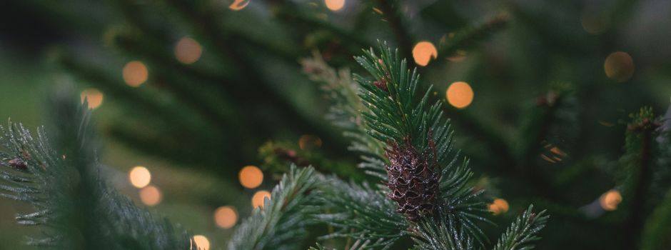Vorfreude auf dem Dorfplatz: Mommenheimer Landfrauen laden zum Baumschmücken