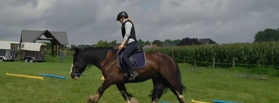 Mehr als nur Kutsche fahren – Dualaktivierungskurs bei den Kutschen-Freunden Herzebrock-Clarholz