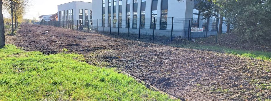 Niederkassel: 1.200 einheimische Bäume und Sträucher fielen Stromtrasse zum Opfer