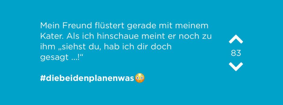 Jodel der Woche – mit Proviant in den Drogeriemarkt