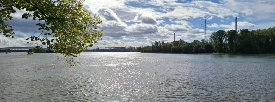 Toter Mann in Wiesbaden aus Rhein geborgen