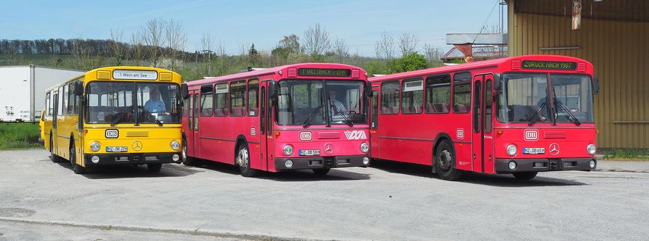 Historische Busse beim Wormser Backfischfest im Einsatz