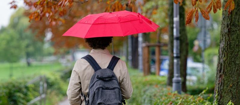 Sturmwarnung für Koblenz: Orkan bringt starke Böen am Wochenende