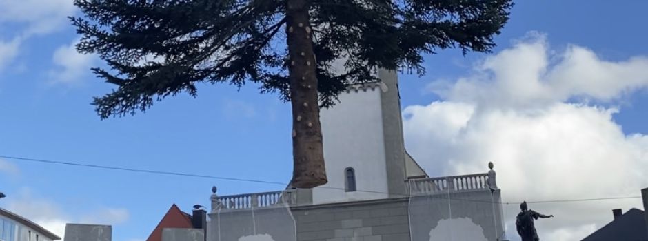 Auf dem Rathausplatz: Christbaum für Alle steht zur Weihnachtszeit