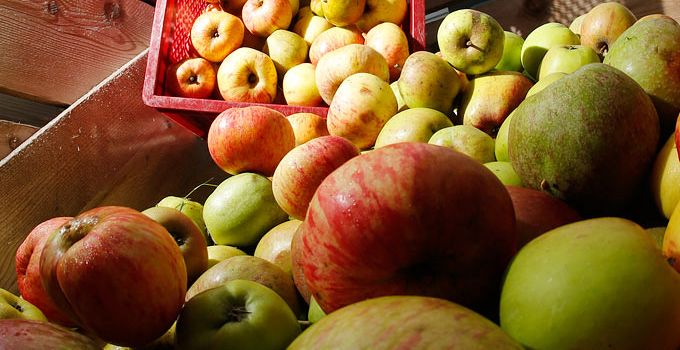 Die Keltersaison 2024 beginnt