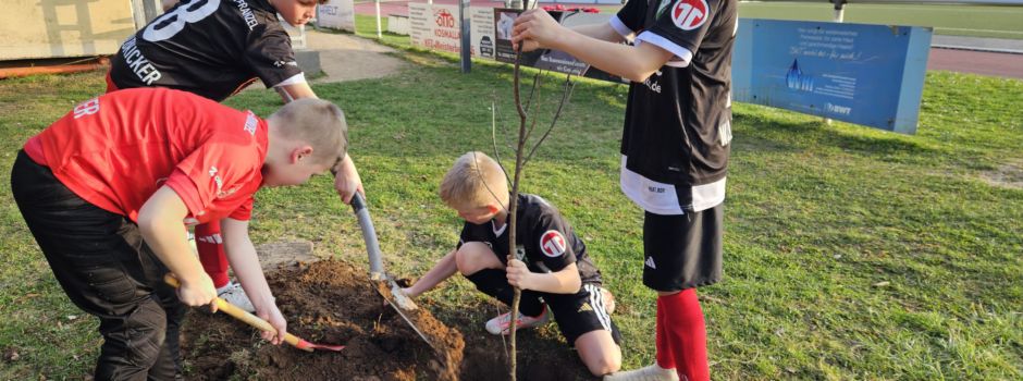 Die Waldkicker tun es wieder: Neue Bäume für den Sportplatz