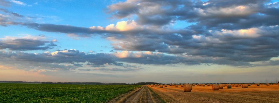 Wie steht es um die Landwirtschaft in Augsburg? – Im Interview: Landwirt Orlamünder