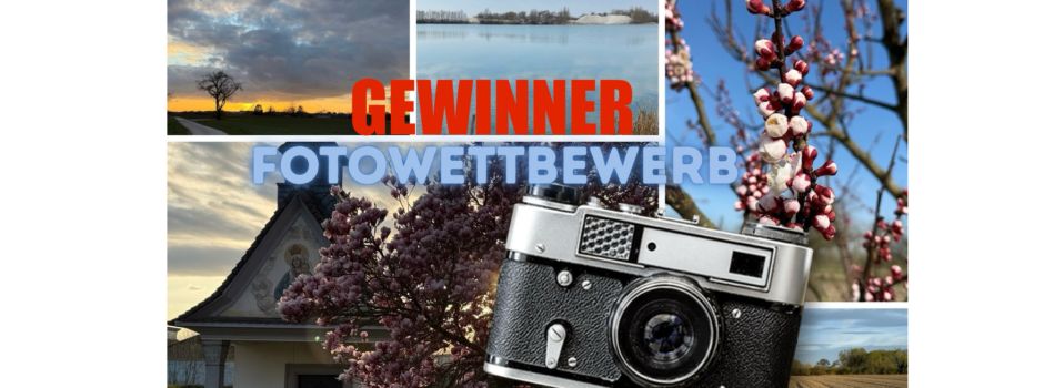 Fotowettbewerb - das sind die Gewinner