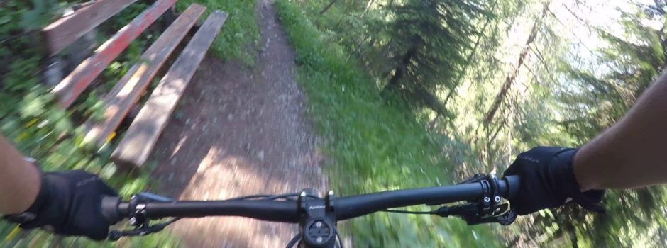 Kontrollen im Siebengebirge: Auch Mountainbike-fahrende müssen sich an Regeln halten