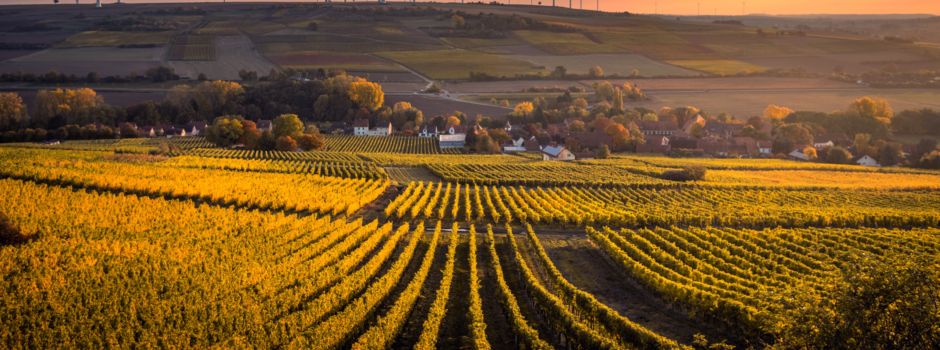 Das ist Merkurist Rheinhessen