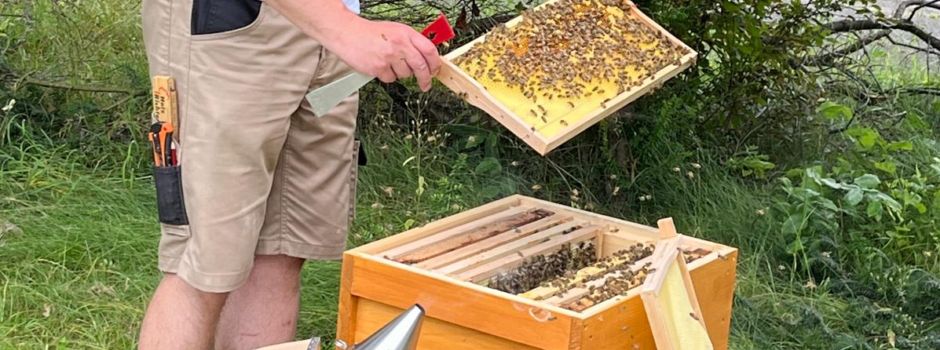 Mondorfer Bürgerverein stellt Bienenvolk Grundstück zur Verfügung