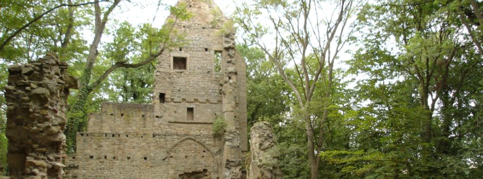 Ausflugsziele rund um Mainz