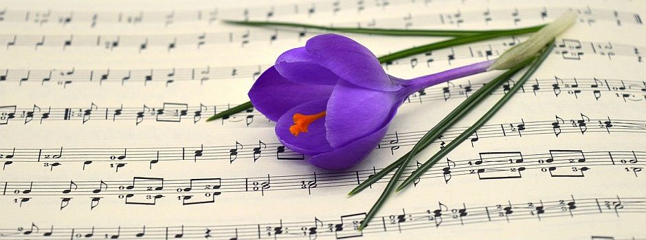 MGV „Liederkranz“ Luckenbach