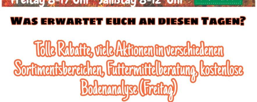 Kiebitzmarkt feiert Wiedereröffnung nach Umbau