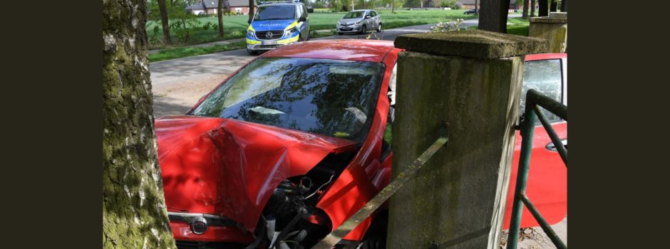 Tecklenburger Weg: Auto fährt vor Baum und wird entstempelt